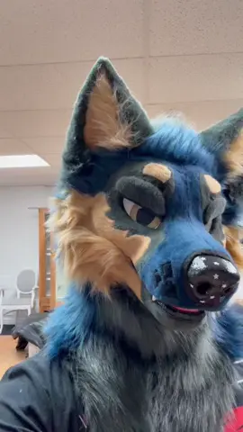 SUIT UPDATE AAAA Suit Makers are Yazur's Critters Hub! #furry #furryfandom #fursuiter #furries #fursona 