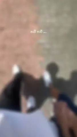 මේකත් වයිරල් කරමු ළමයි 🥺🤍 #viral #trending #onemillionaudition #foryou #fyp #viralvideo  @𝐌𝐚ᗪ𝙝𝐮𝐮 🧘!! @Sahan Vimukthi 🧿 @< 𝑴ꪖ𝐃𝐡𝒖𝒖 