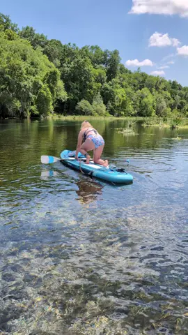 Florida springs have a way of making you forget everything else.