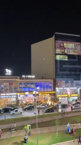 Boulevard des lions 🦁 🦁#oran ❤️#fyp #algeria 🇩🇿#tiktok #2025 🌹❤️🥰