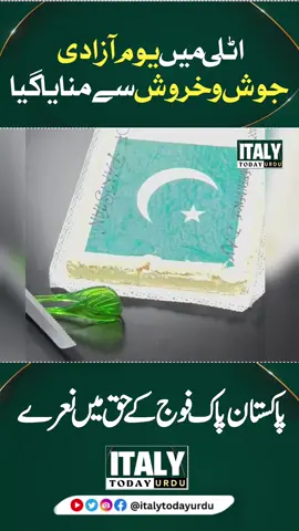 Independence day celebrations in Italy #pakistaniinitaly #PakistanConsulatemilan #trento #bolzano🇮🇹 #italy🇮🇹 #spain🇪🇸 #germany #denmark #munich #brescia #padova #padua #foryoupages #trento @Zaheer11273 @Malik Ali Raza kotla 