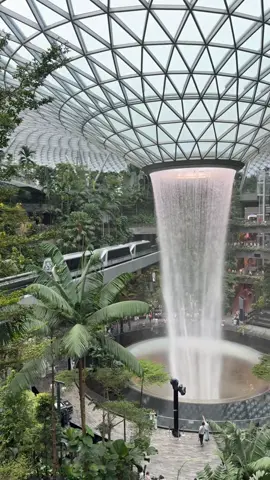 #singapore #travel #jewel #jewel #Summer 