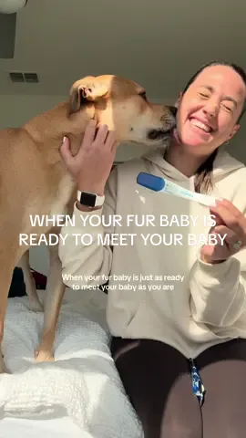No one talks about this enough 🥺 Sonny has been such a supportive, loving, patient boy throughout this journey and I’m so grateful for him 🤍 #fyp #foryou #pregnant #pregnancy #dogs 