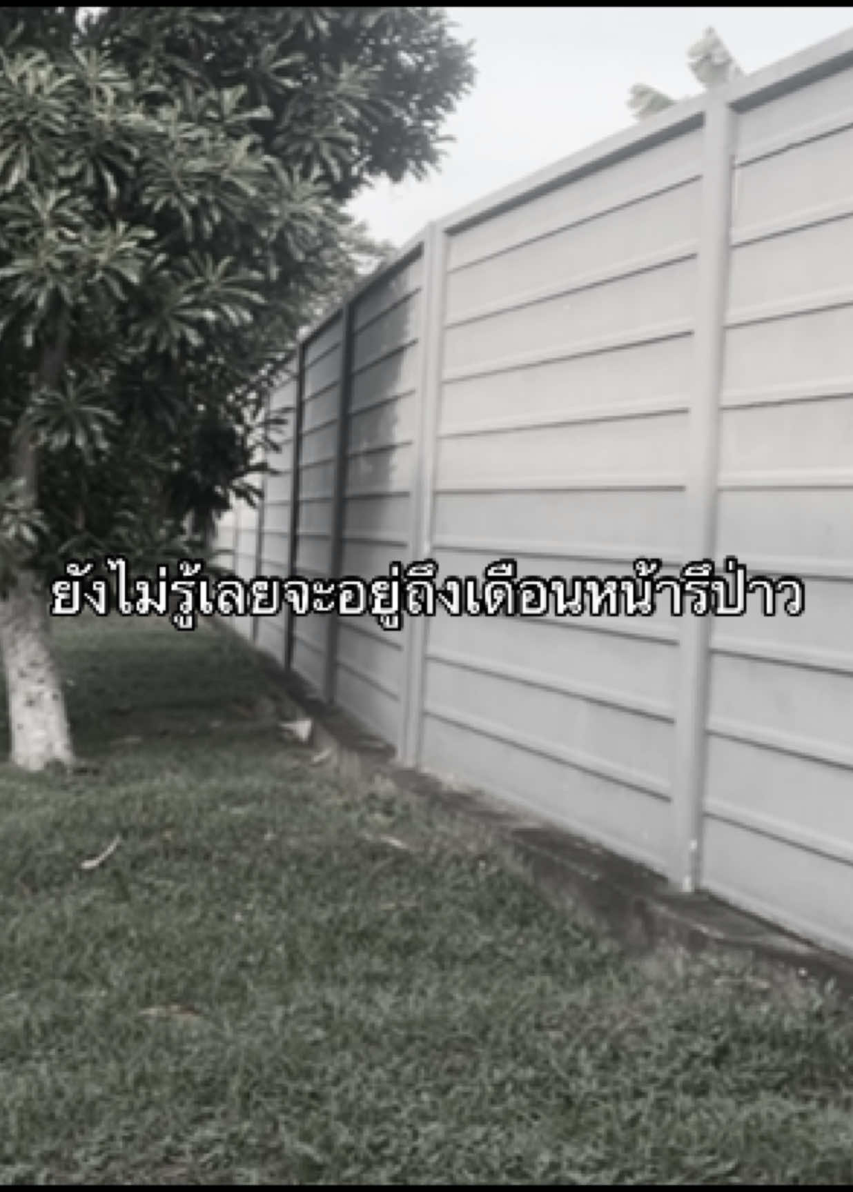 #เธรดเศร้า #เธรดความรู้สึก #ผู้ป่วยจิตเวช #โรคซึมเศร้า #fyp 