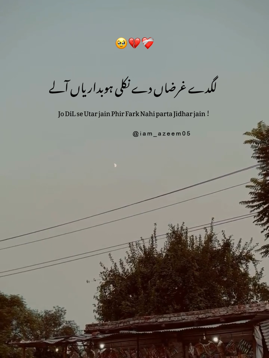 No Caption 💔❤️‍🩹 #urdupoetry #shayari #sadshayari #hindipoetry #lovequotes