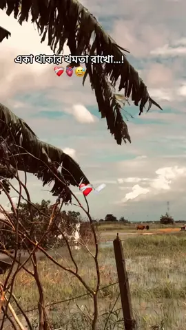 ❤️‍🩹🫶 #foryou_tiktok #fyp_viral_tiktok #3copylink🖇️ #bangladesh🇧🇩 #crop @TikTok 