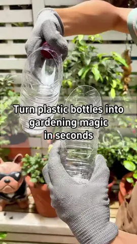 🫙Turn Plastic Bottles Into Gardening Magic in Seconds🫙 💧Cut a plastic water bottle in half and use the top to cover cuttings like a humidity dome. 💦Melt small holes all over it and place it in a flowerpot to create a drainage layer. 🌊Cut the bottle diagonally to make two handy scoops. Poke holes in bottom and place it at the base of your pot. 🧊Place caps on the saucer to keep the drainage hole from clogging. 🫧Insert a cotton swab into the cap, secure the bottle with chopsticks, and you'll have a simple self-watering device. #garden #indoorplants #planting #gardeningtips #planttips 