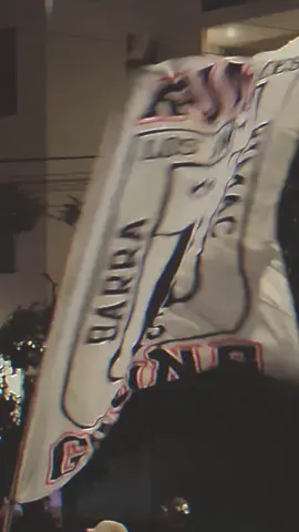 Arriba Alianza toda la vida 💙🤍🇵🇪🔥🔥🔥🔥#paratiiiiiiiiiiiiiiiiiiiiiiiiiiiiiii #viraltiktok #fyp #fyppppppppppppppppppppppp 