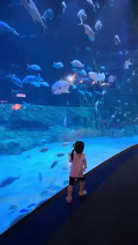 Mình là cá, việc của mình là bơi 🐠 #viralvideo #lottemalltayho #aquarium 
