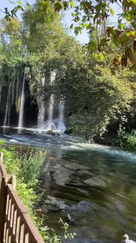 عندما تقول أنا في نعمة تآتي النعمة باحثة عنك الحمد للَّه دائماً وأبداً#🤲🏻🌸🕊️🤍 #اكسبلور #فولو #ترند #اكسبلورexplore 
