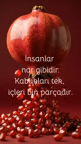 İnsanlar nar gibidir… Dışarıdan bakınca tek bir kabuk görürsün. Ama açtığında… Yüzlerce renk, binlerce tat, bambaşka hikâyeler dökülür önüne. 🌺 #birkaşıkhayat #nargibihayatlar #blogpost #dışımıztekiçimizparça 