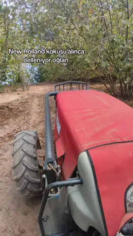 Saklanın geliyor makine 😂😂 #erkunt #erkunttraktor #fındık #ormanişleri #ogm 