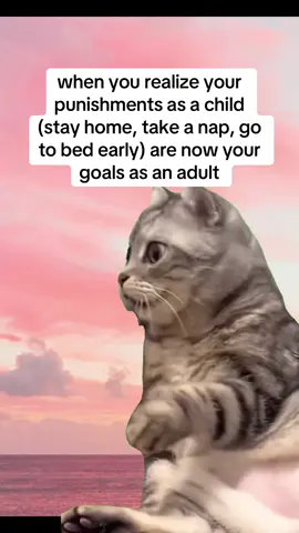 #Meme #MemeCut 