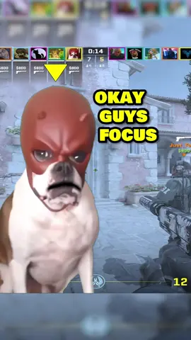Youtube: youngsamCS #cs2 #csgo #counterstrike2 #counterstrike #cs2moments #cs2clips 