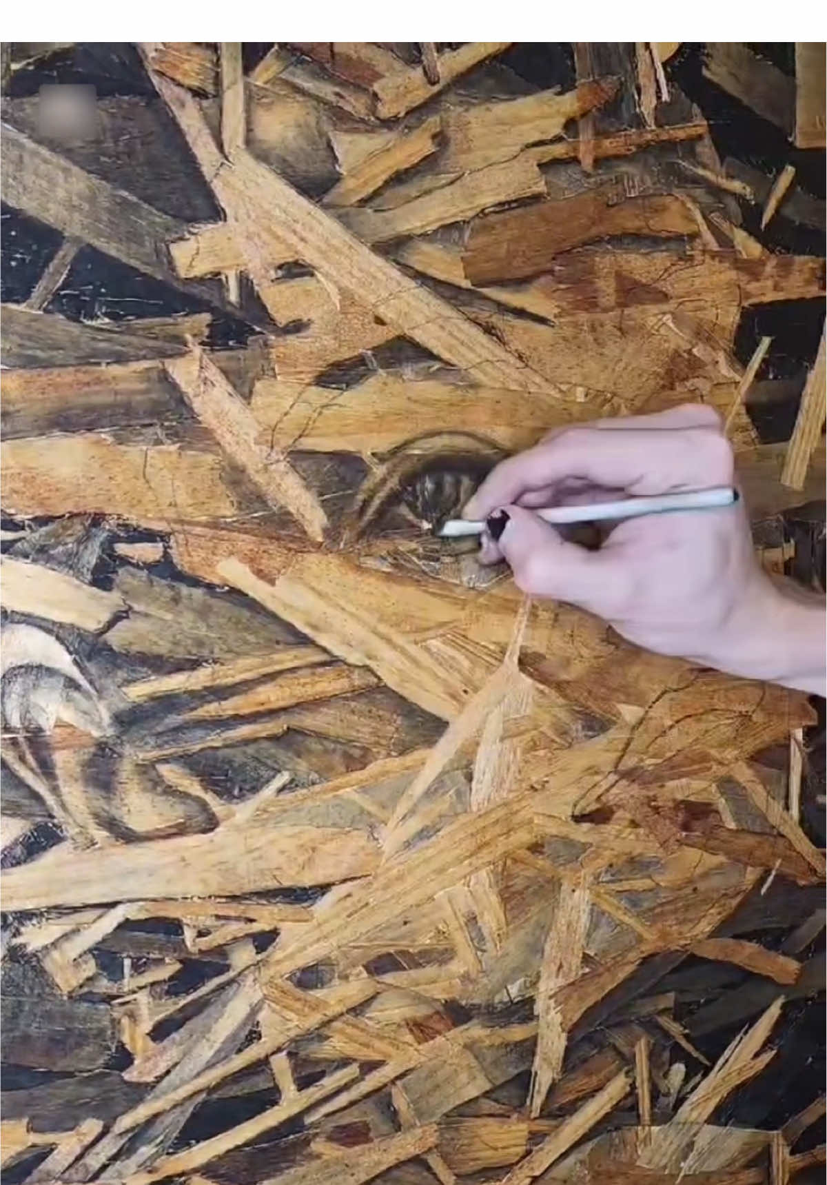 Gonzalo Pizarro is an Argentine architect and visual artist based in Vail, Colorado, known for transforming OSB boards into striking works of art. Using the board’s natural grain and texture as part of his compositions, he combines ink and charcoal to reveal highly detailed faces and figures. The raw, industrial surface becomes a vital element of the artwork, giving each portrait depth, character, and a story etched into the wood itself. Artist: @gonzalo.pizzaro.art #art #painting #artist