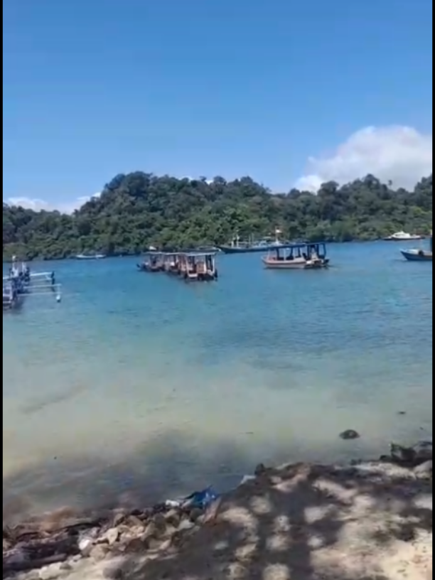 #jawadwipa #eyangsemar #fyp #suryosentono #singojoyo 