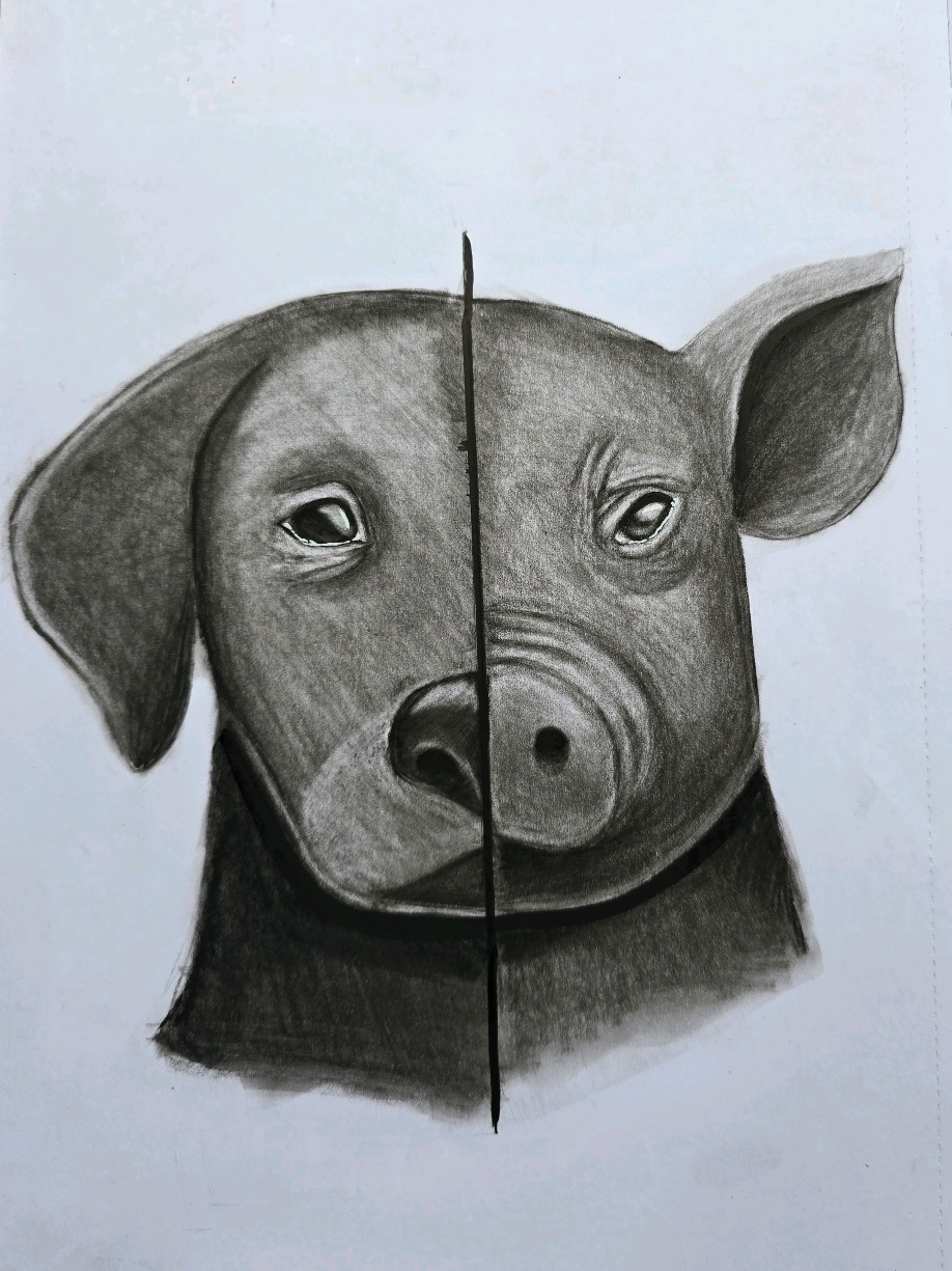 Ich war selbst so. Ich habe süße Tiervideos geliebt und gleichzeitig das Leid hinter meinem Teller ignoriert. Ich wollte es nicht sehen. Nicht fühlen. Nicht ändern. Bis ich hingesehen habe...schau hin. Hör zu. #Vegan #govegan  #animalsoftiktok  #fyp 