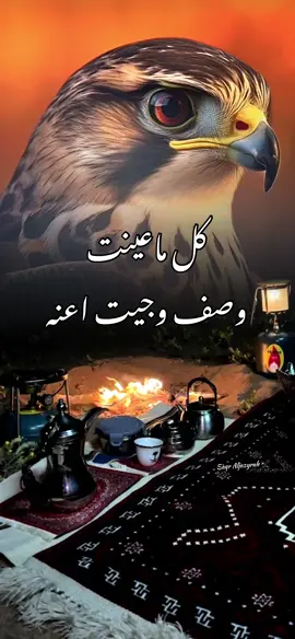 #صقر_الجزيرة_🦅 #اسعد_الله_اوقاتكم #مساء_الخير #شيلات_جزل_القصيد #الجنوب 