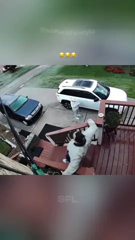 #funnymoments #funnytiktok #funnyvideoscomedy #funnycomedy #funnypets 
