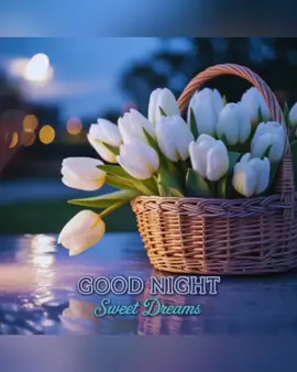 #goodnight #myLove #fouryou #goviral #fyppppppppppppppppppppppp 