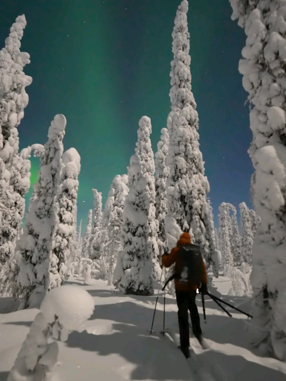 Lookong for a perfect small place to visit in Lapland? If you want to see auroras, snow, huskies and reindeers, you must visit Ranua ❄️✨ With @luplandi #finland #lapland #aurora #winter #northernlights 