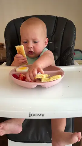 🍞 🍓 🥚  #blw #babyledweaning #babyfood #babieseating #momtok 