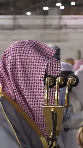تلاوة ال 15.0k متابع 🤍. #ماهرالمعيقلي #الحرم_المكي #تلاوة_خاشعة #سورة_القيامة #قرآن 