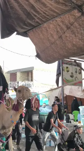 طريق الحسين طريق الله  #اللهم_صلي_على_نبينا_محمد #كربلاء  #capcut #tiktok #foryou 
