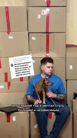 Ответ пользователю @Антон Коченевский 