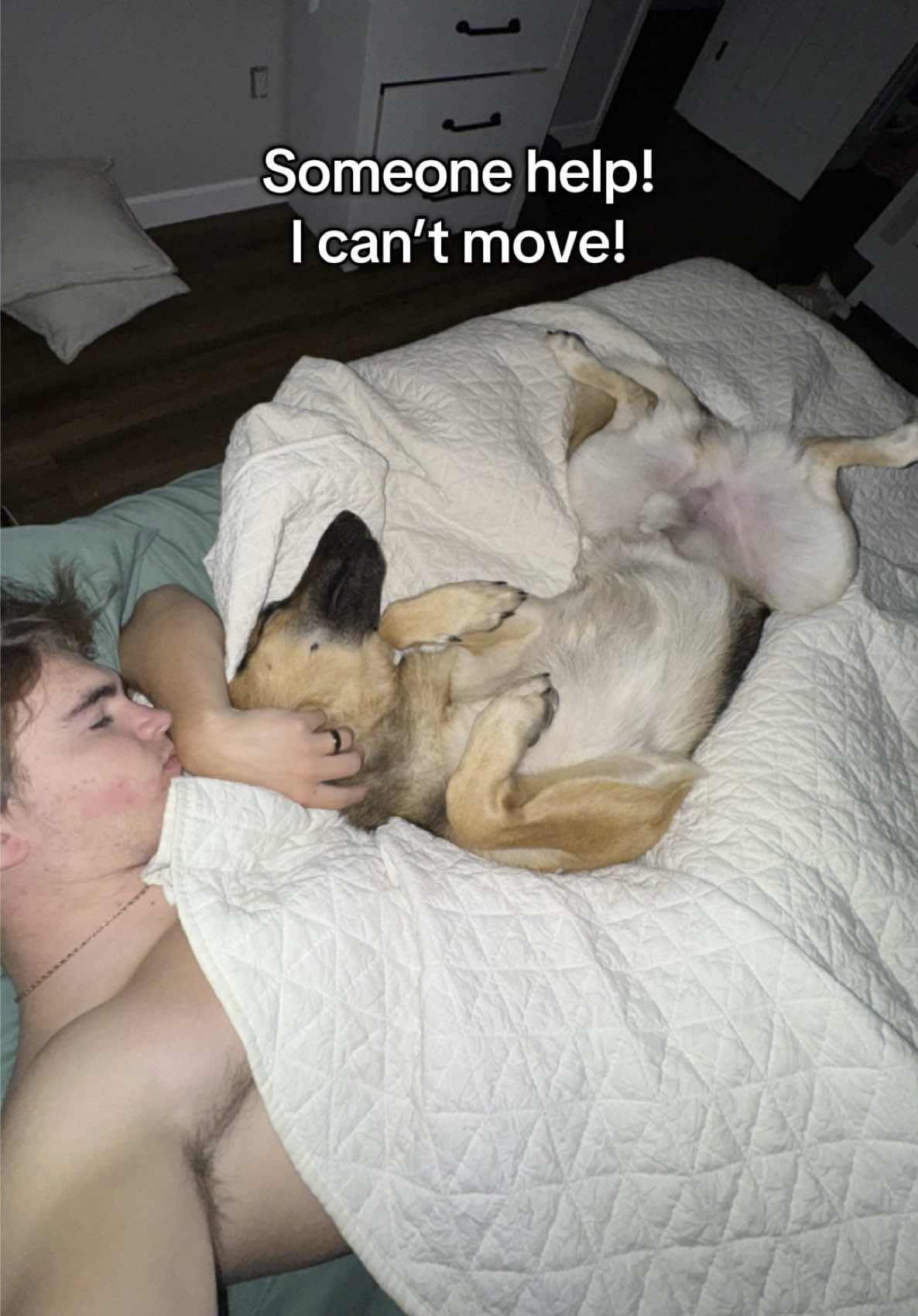 HELP! There’s many different ways that our mornings can start, but this is definitely the most common. Westin is fully laid out on top of me and I’m unable to move or get out of bed because of him. Though I may be late sometimes, I wouldn’t trade this for the world❤️  #cayson #westin #dailyvlog #fyp #germanshepherd #Lifestyle #funny #Vlog #germanshepherd #germanshepherdsoftiktok 