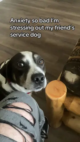 Beasely needs a service animal after being around me so much.