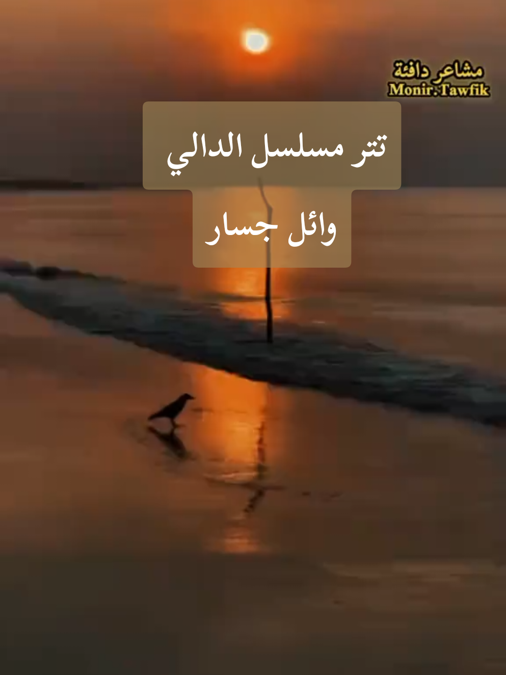 #مين_دا_اللي_كاره_دنيتك_وبيشتهي_موتك #مين_دا_اللي_كاره_دنيتك_وبيشتهي_موتك🤞 #وائل_جسار #اكسبلورexplore_ #creatorsearchinsights 
