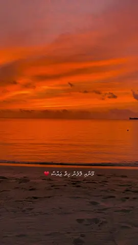 މޫނާއި ލޮލުން ♥️  #dhivehitiktok #dhivehisong #share #viraltiktok #dhivehilava 