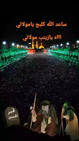 عمت عيني عليج يامولاتي يازينب 