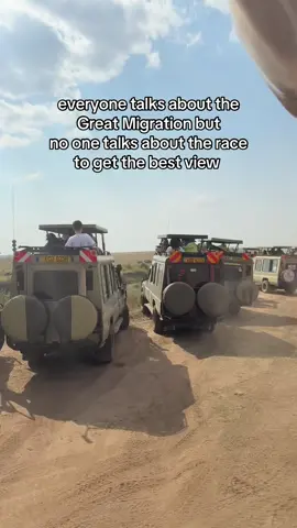 We counted about 40 other safari cars around us #greatmigration #wildebeest #wildebeestmigration #masaimara  #safari 