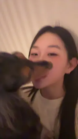 뽀뽀는 그만 #fyp #강아지 #tiktok #임시저장풀기 