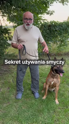 #trenerpsow #trenerpsowpoznan #szkoleniapsowpoznan #szkoleniapsow #psibehawiorysta #psibehawiorystapoznan #fyp #dlaciebie #dla #dc