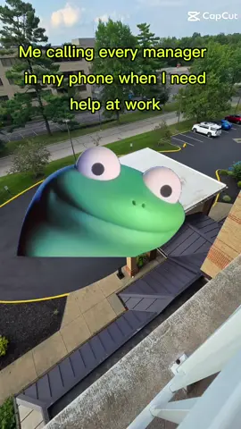 At least they know I am willing to do a good job #CapCut #lizard #nationallizardday 