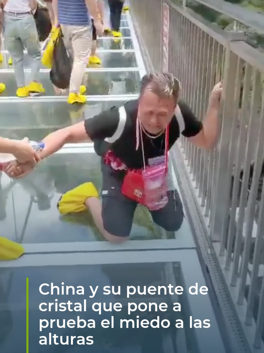 🌉 China y su puente de cristal que pone a prueba el miedo a las alturas 😱 En China construyeron un puente de cristal que desafía incluso a los más valientes 😨. Algunas personas experimentan acrofobia severa al cruzarlo, mientras otros lo viven como una emocionante aventura. Una mezcla de belleza y vértigo que no deja a nadie indiferente. 😵‍💫 #China #PuenteDeCristal #Acrofobia #Alturas #TurismoExtremo #Impactante #Curiosidades #Vértigo #Aventura #NoticiasVirales 