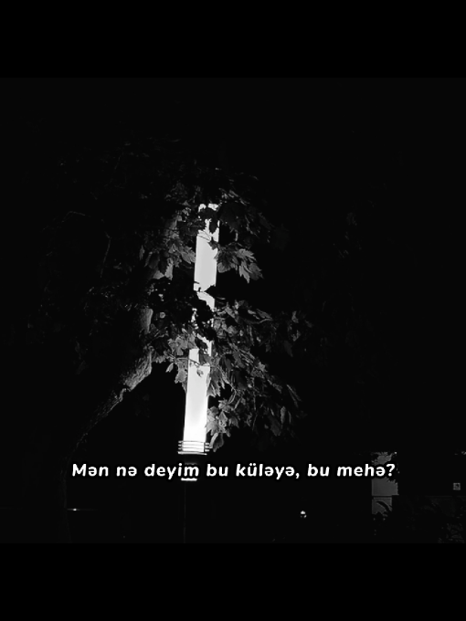 Sənə görə inanmıram talehə.. #qocaltdın #vahidəziz 