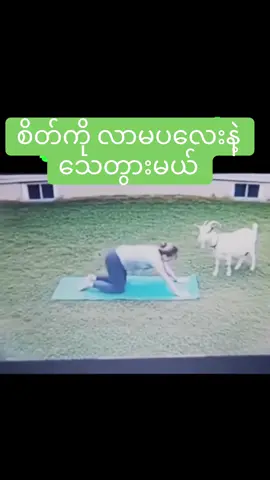 စိတ်လာမကစားနဲ့ 😂😂😂 #ဟာသလေးများ🤣🤣🤣 #ခွေးချစ်သူများ #ဟာသ #moe 