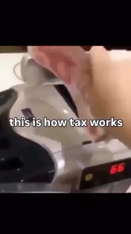 #fyp #taxes #mcfreakery 