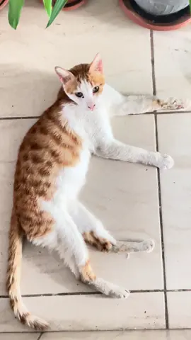 😘😘😘😘😘