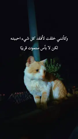 #ستوريات #اقتباس #🖤🥀 