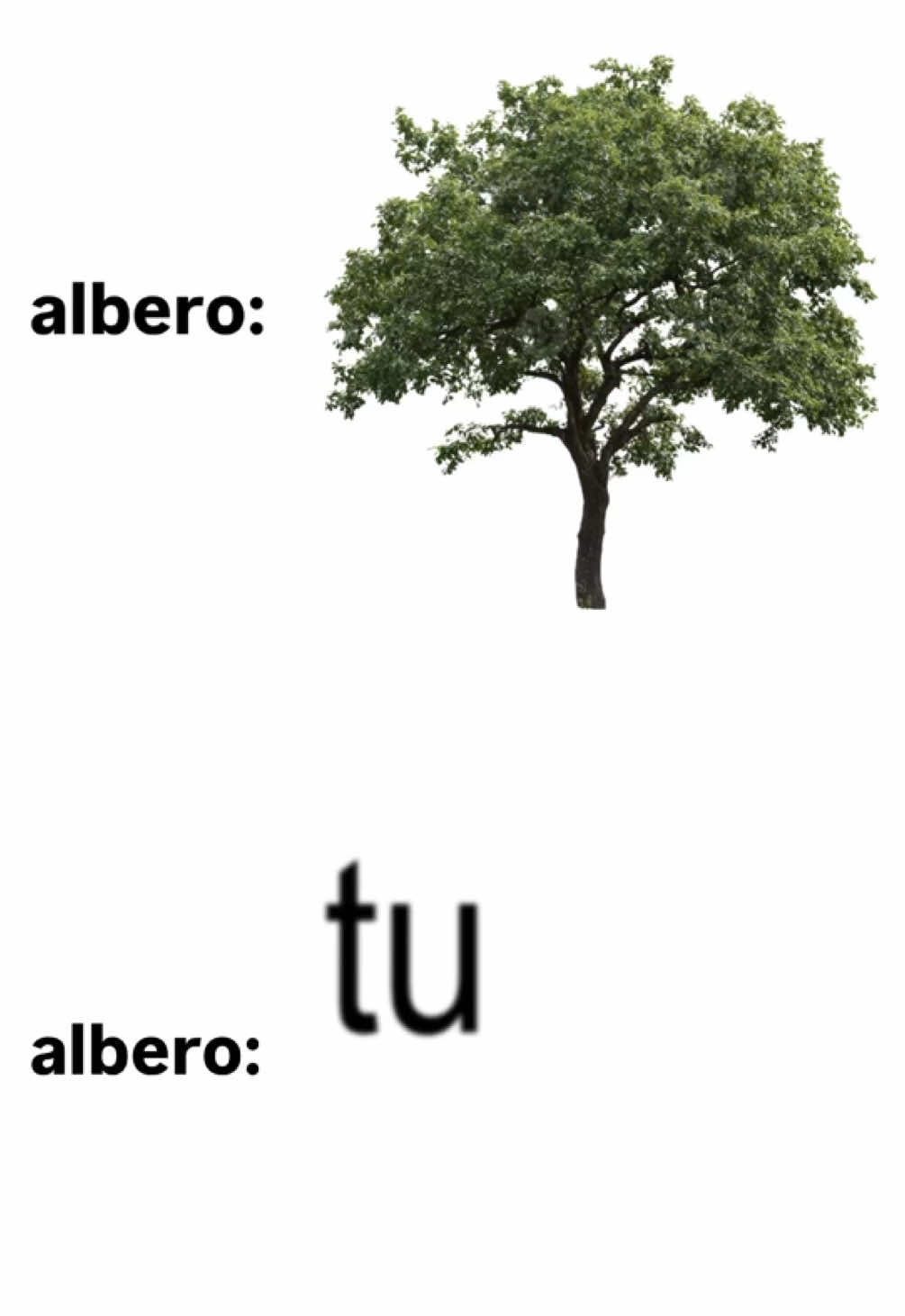 🌳 #perte #fyp #calcutta #albero