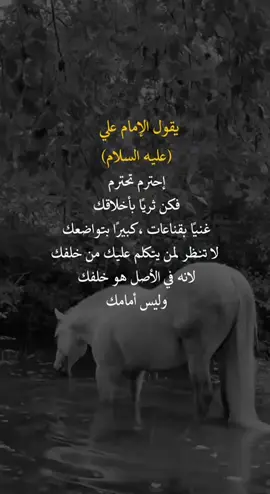 يقول علي عليه السلام #you #fyp #اعادة_النشر #اكسبلورexplore❥🕊 