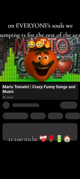 yes i recorded the whole song ✌️ #fyp #niche #mariotomato #meme #nichetok 