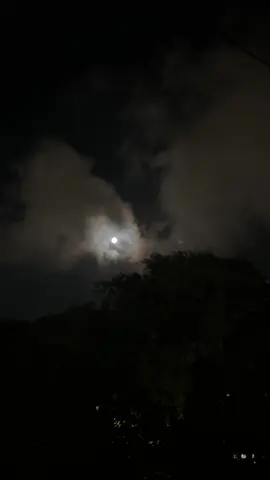 #fyp 🌒