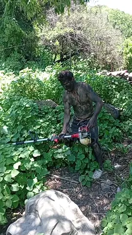 #videoschistosos