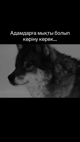 #fyp #рекомендации #қазақстан🇰🇿 #өмірғой 